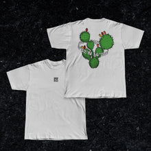 Load image into Gallery viewer, FONTI Cactus
