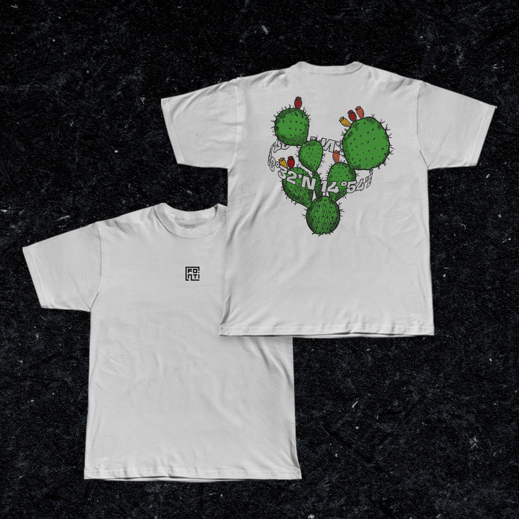 FONTI Cactus