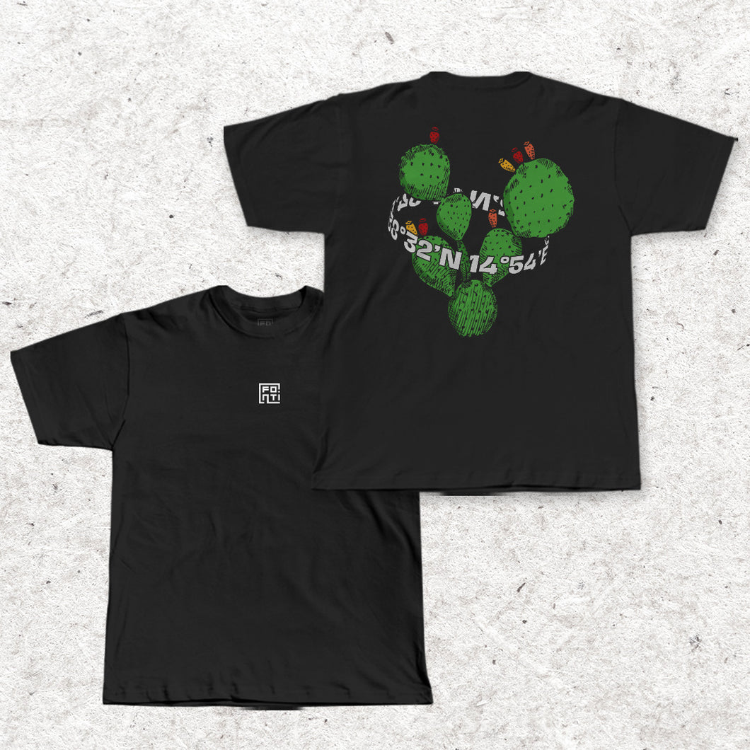 FONTI Cactus
